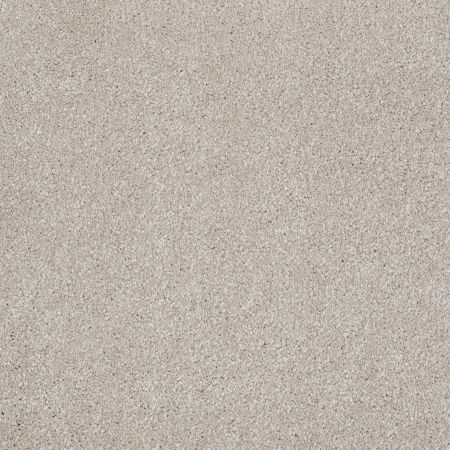 Shaw Floors SHAW FLOORING GALLERY Perfectly Timed Greige