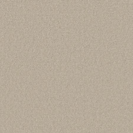 Shaw Floors SHAW FLOORING GALLERY Perfectly Timed Doeskin