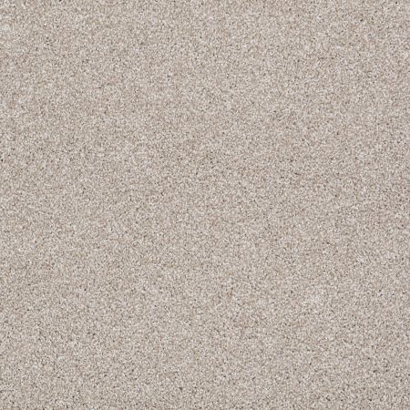 Shaw Floors FOUNDATIONS Always Ready II Park Place