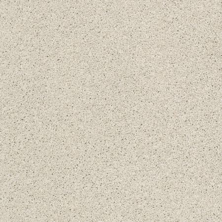 Shaw Floors FOUNDATIONS Always Ready II Etched Glass