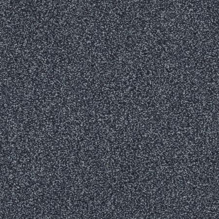 Shaw Floors FOUNDATIONS Always Ready II Royal Navy