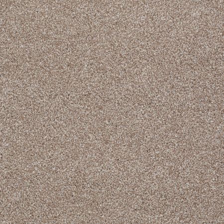 Shaw Floors FOUNDATIONS Always Ready II Summerville