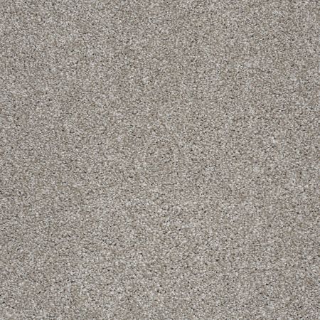 Shaw Floors FOUNDATIONS Always Ready II Arrowhead