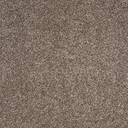 Shaw Floors FOUNDATIONS Always Ready II Cobble Brown