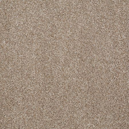 Shaw Floors FOUNDATIONS Always Ready II Warmth