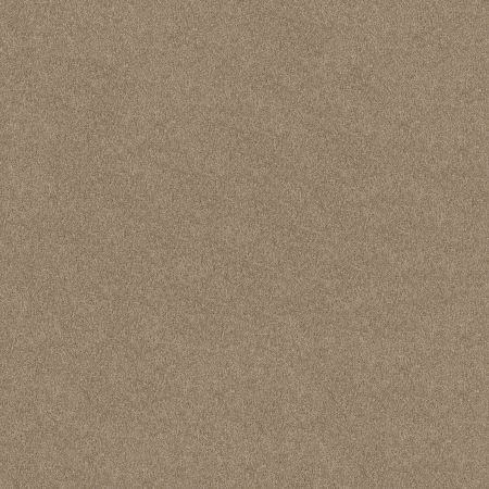 Shaw Floors What's Up Havana