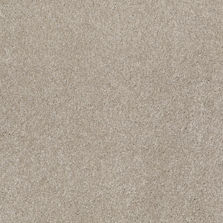 Shaw Floors What's Up Coastal Fog