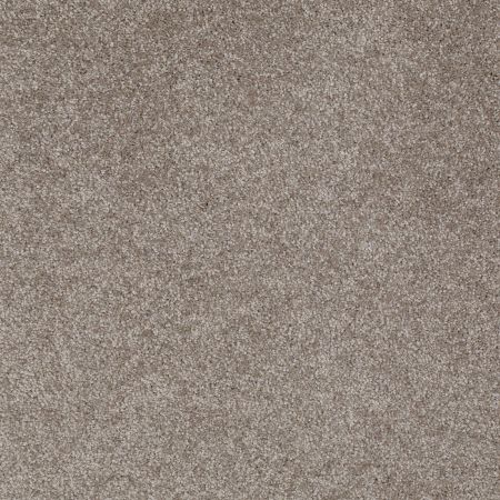 Shaw Floors What's Up Ashen