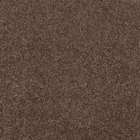 Shaw Floors What's Up Sedona