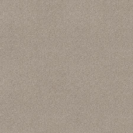 Shaw Floors SHAW FLOORING GALLERY Beautifully Simple Catnip