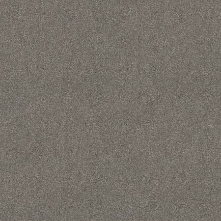 Shaw Floors What's Up Battleship