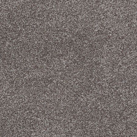 Shaw Floors What's Up Bear Mountain