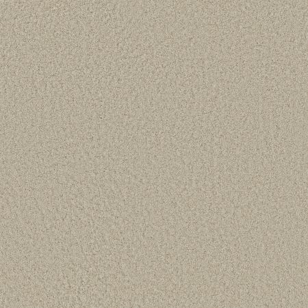 Shaw Floors SHAW FLOORING GALLERY Premier Role Sailcloth