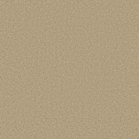 Shaw Floors SHAW FLOORING GALLERY Premier Role Muslin