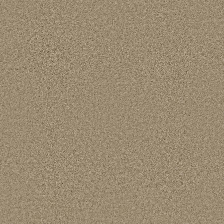 Shaw Floors SHAW FLOORING GALLERY Premier Role Gallery