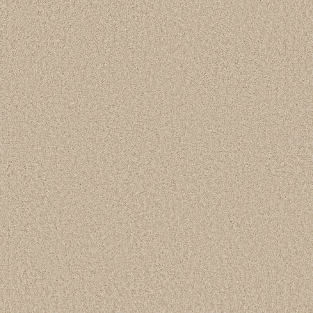 Shaw Floors SHAW FLOORING GALLERY Premier Role Sand Dollar