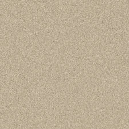 Shaw Floors SHAW FLOORING GALLERY Premier Role Ivory