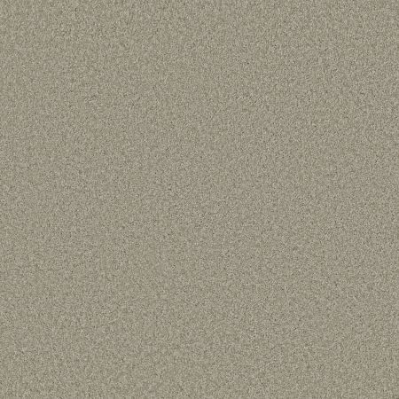 Shaw Floors SHAW FLOORING GALLERY Premier Role Cascade