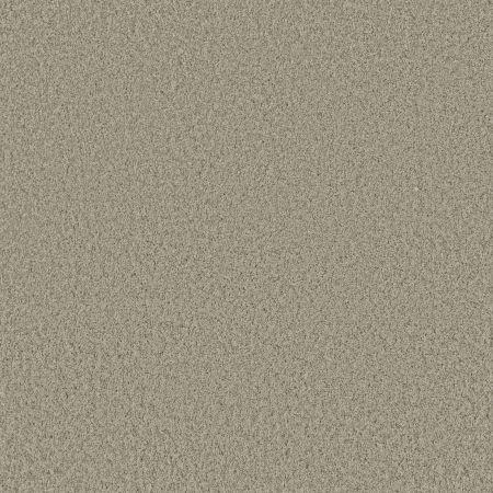 Shaw Floors SHAW FLOORING GALLERY Premier Role Abalone