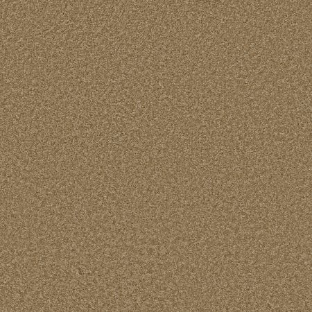 Shaw Floors SHAW FLOORING GALLERY Premier Role Reed