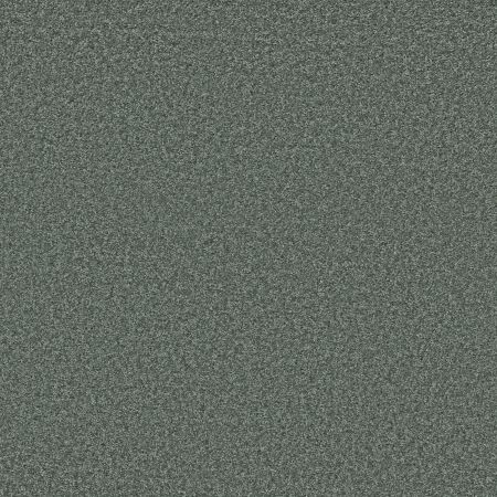 Shaw Floors SHAW FLOORING GALLERY Premier Role Caribbean