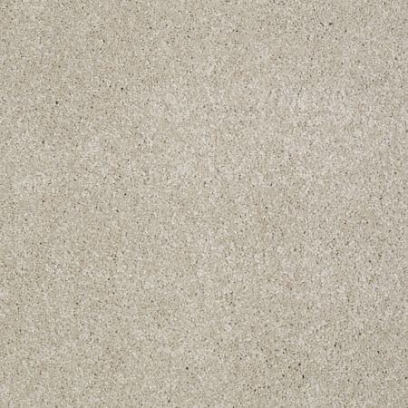 Shaw Floors SHAW FLOORING GALLERY Lucky You Linen