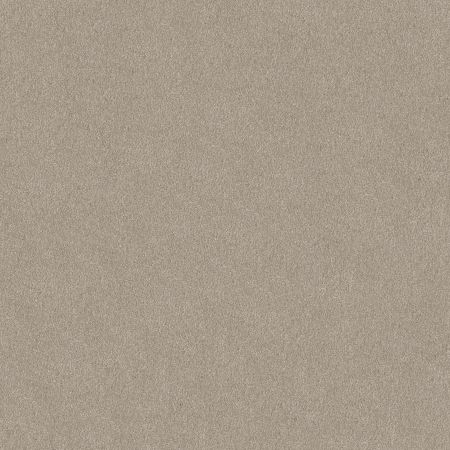 Shaw Floors SHAW FLOORING GALLERY Lucky You Greige