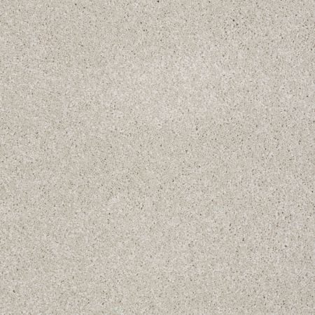 Shaw Floors SHAW FLOORING GALLERY Lucky You Mist