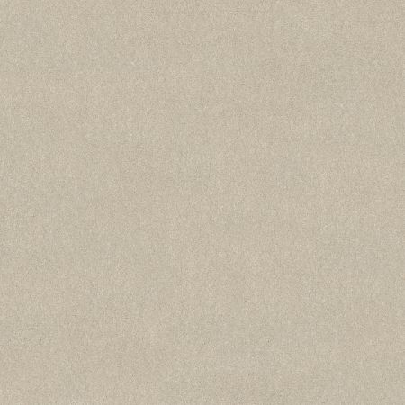 Shaw Floors SHAW FLOORING GALLERY Lucky You Doeskin