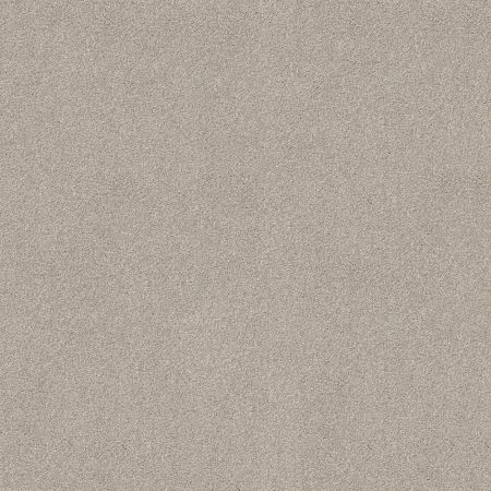 Shaw Floors SHAW FLOORING GALLERY Lucky You Cement Mix