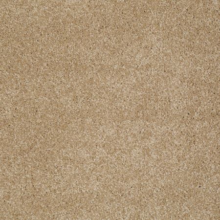 Shaw Floors SHAW FLOORING GALLERY Lucky You Oakwood