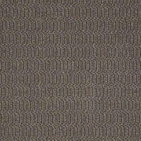 Philadelphia Commercial On Site On The Nose