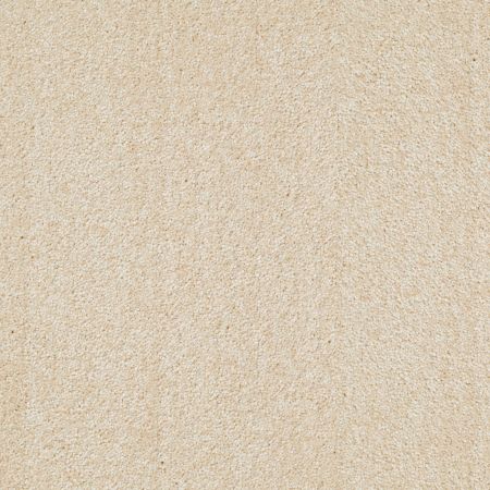 Shaw Floors SHAW FLOORING GALLERY Why Not Me Plaster