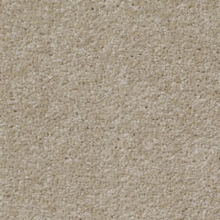 Shaw Floors SHAW FLOORING GALLERY Why Not Me Warm Glow