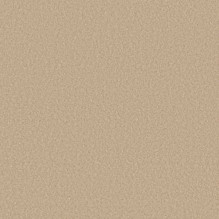 Shaw Floors SHAW FLOORING GALLERY Why Not Me Cream Puff