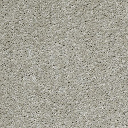 Shaw Floors SHAW FLOORING GALLERY Why Not Me All Natural