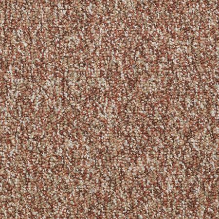 Philadelphia Commercial Franchise Pumpkin Patch