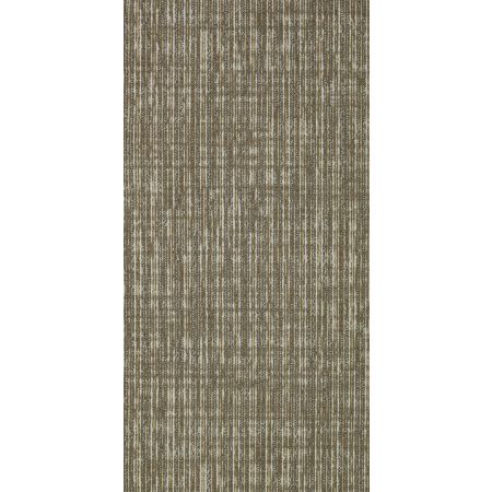 Philadelphia Commercial SIMPLE MECHANICS Straight Shift Incline