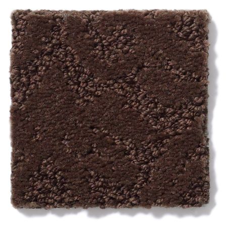 Anderson Tuftex CARESS BY SHAW Heirloom Athens Bison