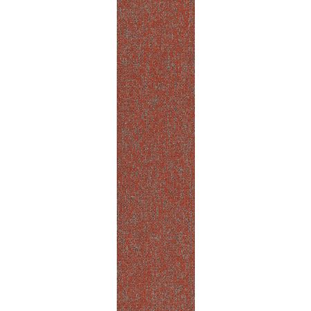 Philadelphia Commercial MODERN TERRAIN Basin Miombo