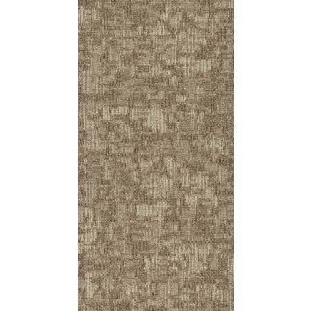 Philadelphia Commercial MODERN TERRAIN Arid Dunes