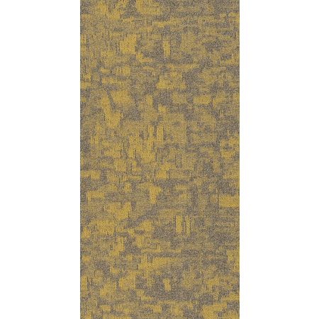 Philadelphia Commercial MODERN TERRAIN Arid Monadnock