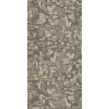 Philadelphia Commercial MODERN TERRAIN Arid Pingo