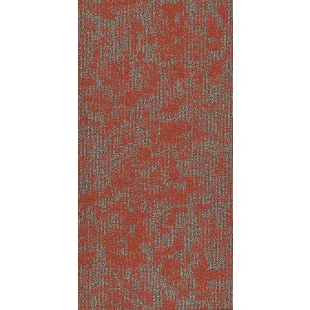 Philadelphia Commercial MODERN TERRAIN Arid Miombo