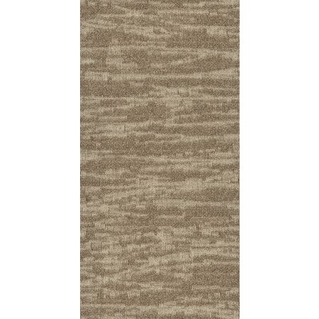 Philadelphia Commercial MODERN TERRAIN Tidewater Dunes