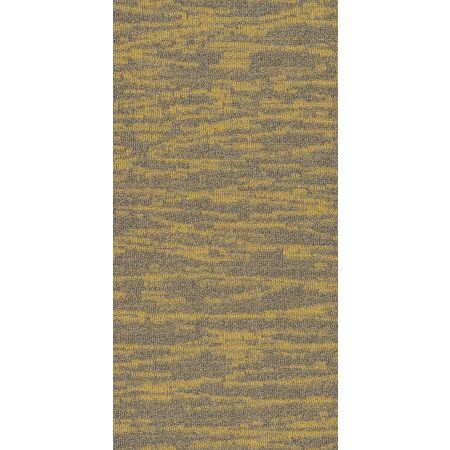 Philadelphia Commercial MODERN TERRAIN Tidewater Monadnock