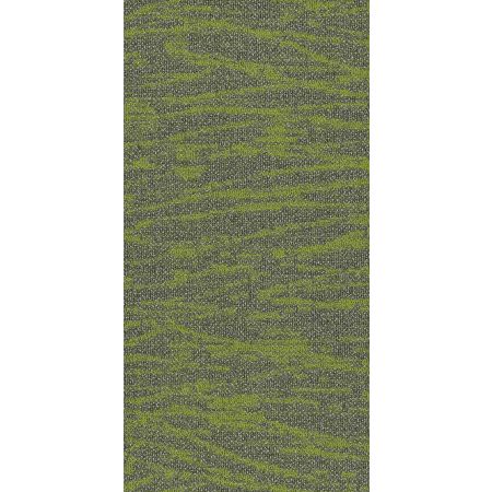 Philadelphia Commercial MODERN TERRAIN Tidewater Taiga