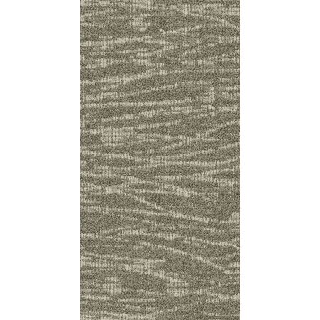 Philadelphia Commercial MODERN TERRAIN Tidewater Summit