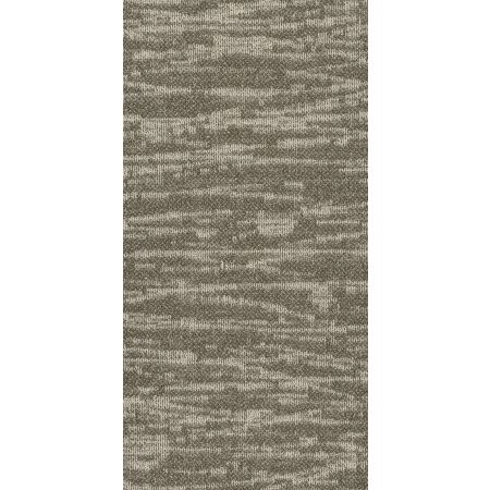 Philadelphia Commercial MODERN TERRAIN Tidewater Pingo