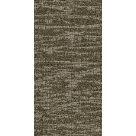 Philadelphia Commercial MODERN TERRAIN Tidewater Salt Flat